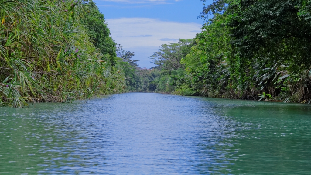 25 - Tortuguero NP (06).jpg